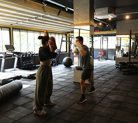 Reformer Pilates Egzersizleri